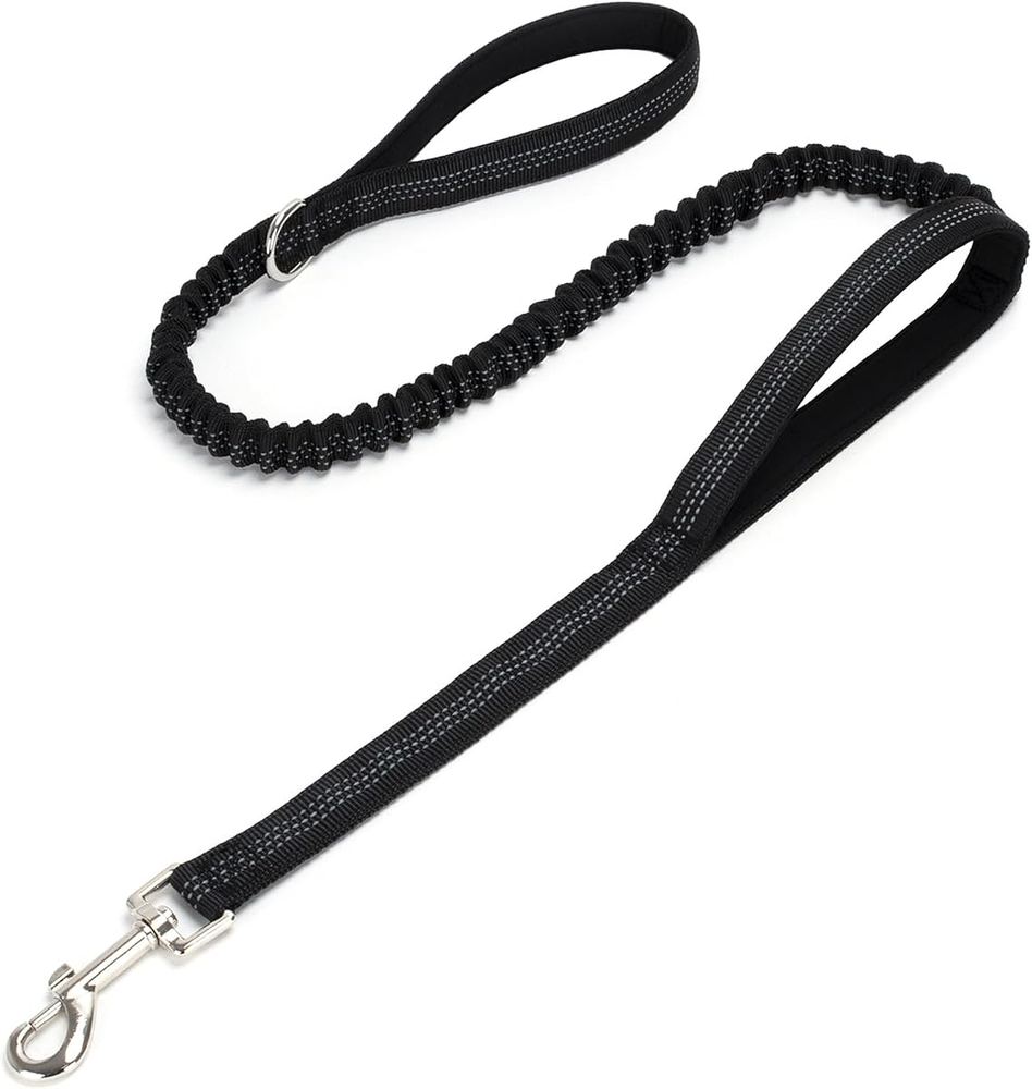 Mays BlueRiver Petware Bungee Shock-Absorbing Dog Leash, Charcoal studio product photo
