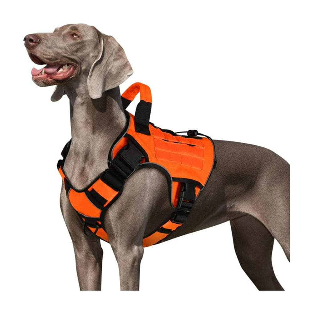 Escape-Resistant 3-Buckle Dog Harness, Deep Navy, Large product photo