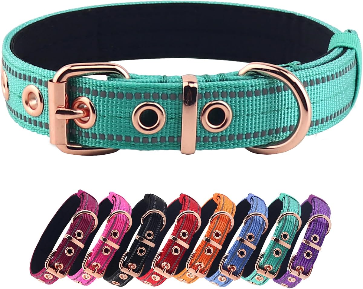 Padded Neoprene-Lined Nylon Dog Collar, Slate Blue, Large product photo