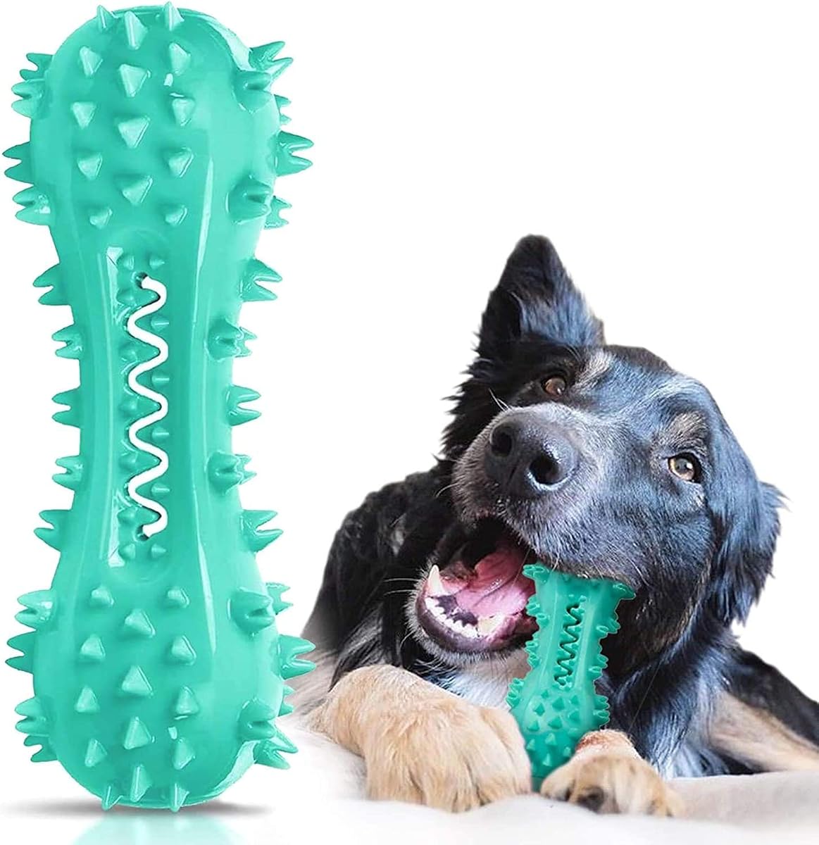 Textured Rubber Dental Chew Toy, Teal, Medium product photo