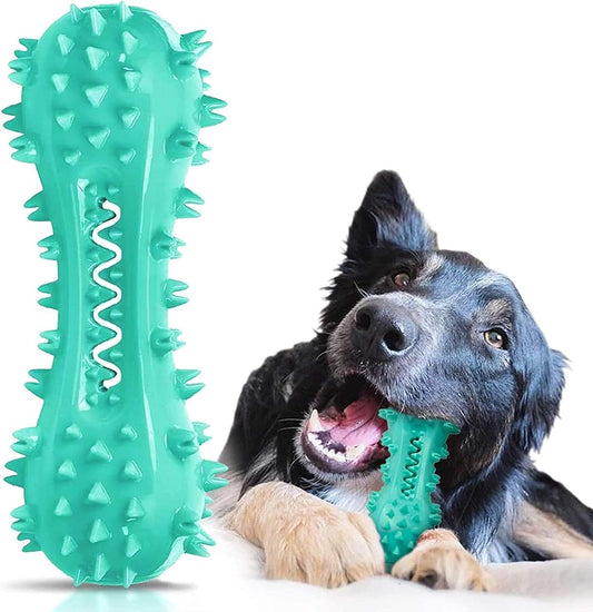 Textured Rubber Dental Chew Toy, Teal, Medium product photo